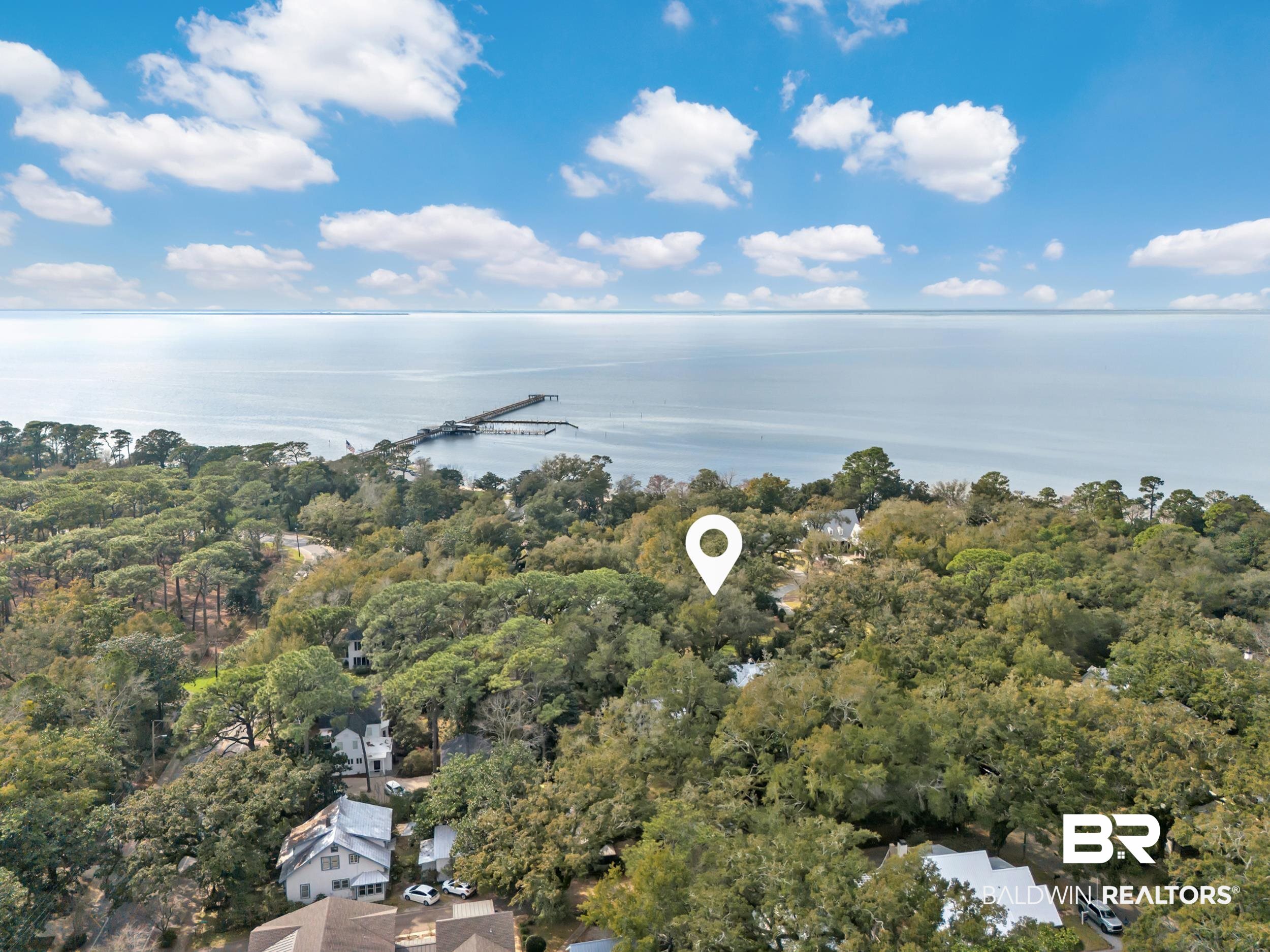 55 Boise Lane Fairhope, AL 36532 - Photo 3 of 24 Birds eye view of property