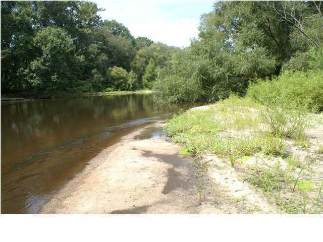 0 Bryan Branch Road Reevesville, SC 29471 - Photo 16 of 22 0 Bryan Branch Road Reevesville SC