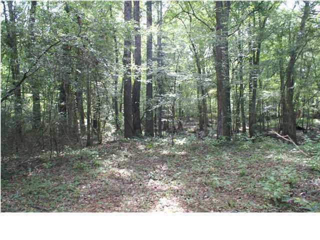 0 Bryan Branch Road Reevesville, SC 29471 - Photo 17 of 22 0 Bryan Branch Road Reevesville SC