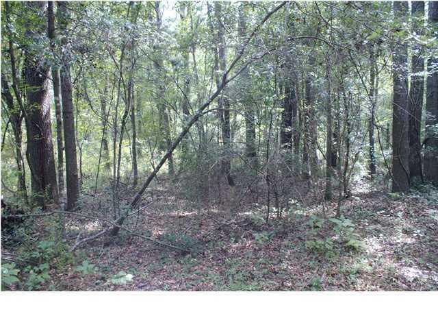 0 Bryan Branch Road Reevesville, SC 29471 - Photo 20 of 22 0 Bryan Branch Road Reevesville SC