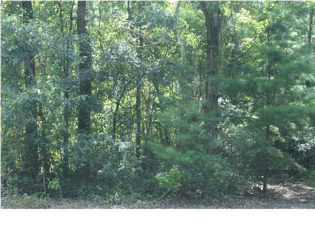 0 Bryan Branch Road Reevesville, SC 29471 - Photo 22 of 22 0 Bryan Branch Road Reevesville SC