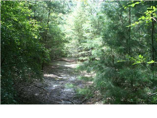 0 Bryan Branch Road Reevesville SC