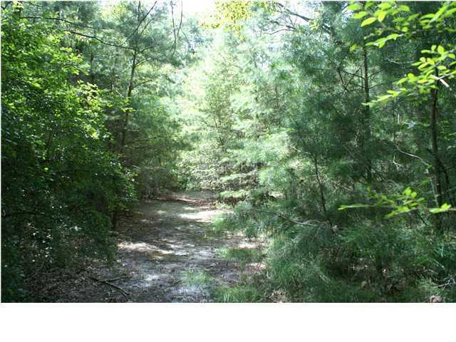 0 Bryan Branch Road Reevesville SC