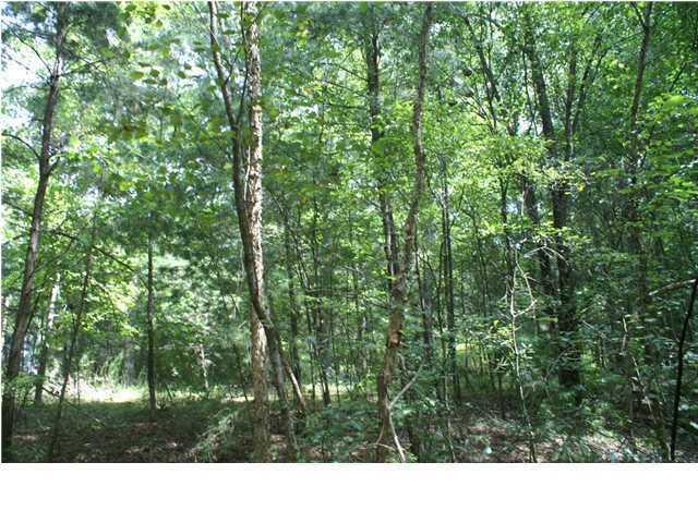 0 Bryan Branch Road Reevesville SC