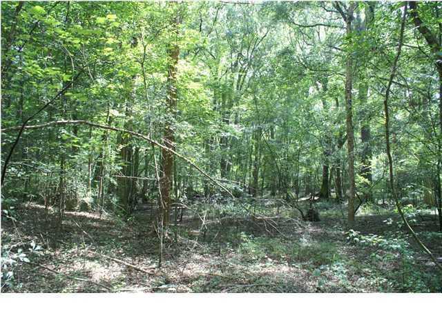 0 Bryan Branch Road Reevesville SC