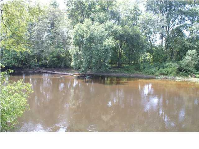 0 Bryan Branch Road Reevesville, SC 29471 - Photo 10 of 22 0 Bryan Branch Road Reevesville SC