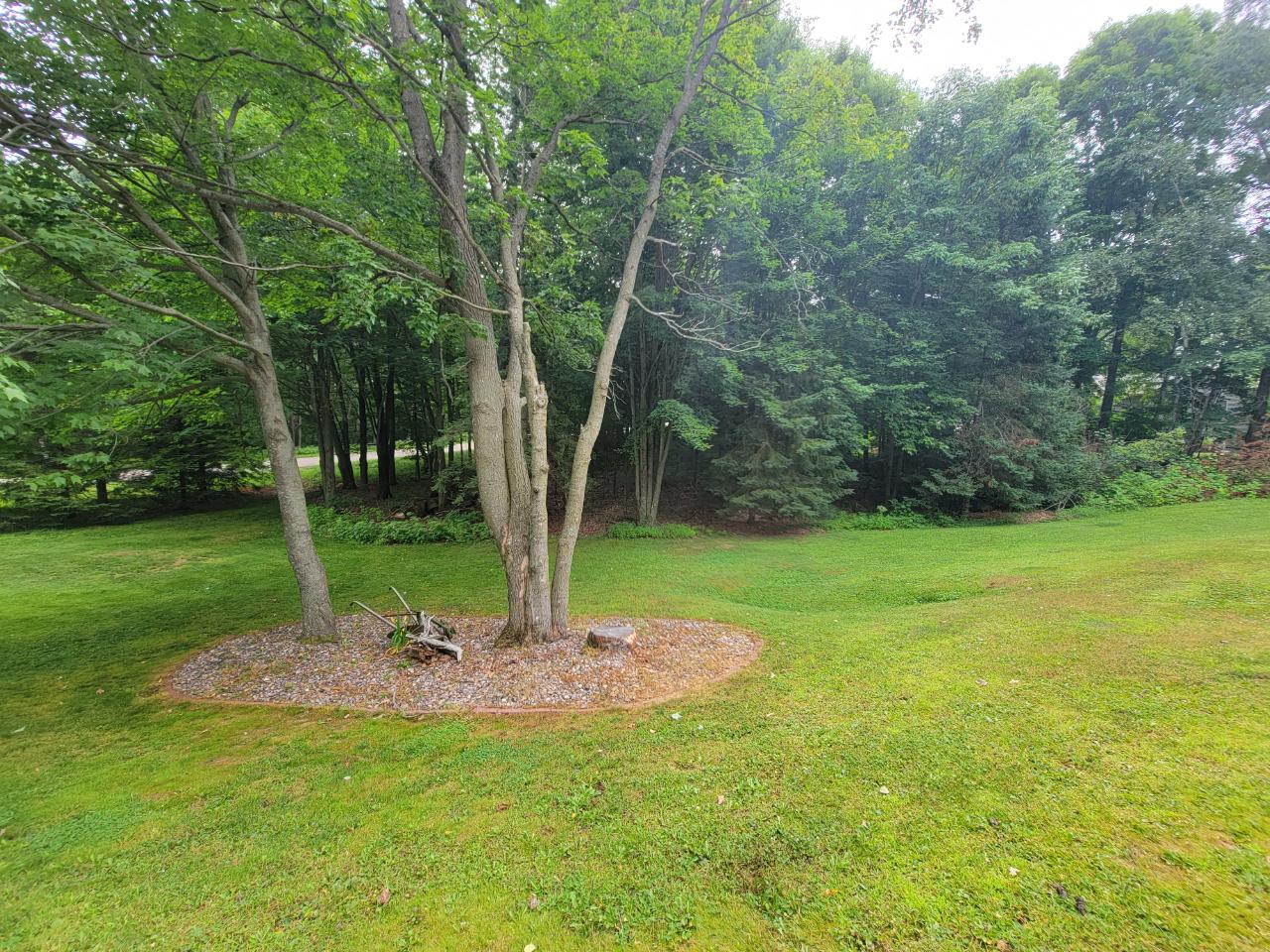 N6598 Neva Lake Road Deerbrook, WI 54424 - Photo 60 of 61 Gallery Image 60