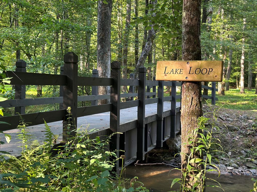 27 R Tanager Trail Ellijay, GA 30536 - Photo 55 of 60 Lake Loop Trail