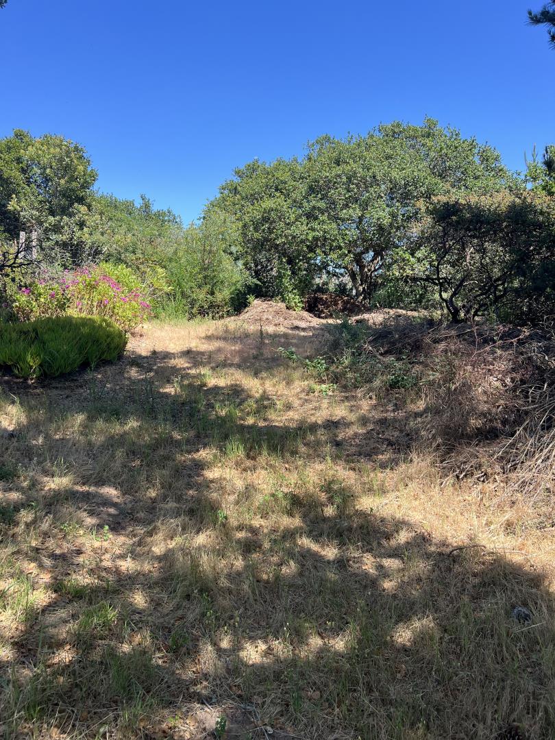 17160 Wilson Way Watsonville, CA 95076 - Photo 27 of 62 a view of a road with a yard