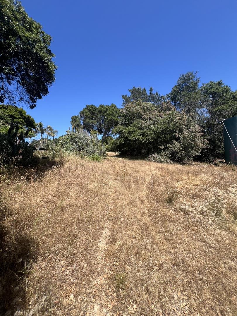 17160 Wilson Way Watsonville, CA 95076 - Photo 29 of 62 a view of a yard covered with snow in front of house