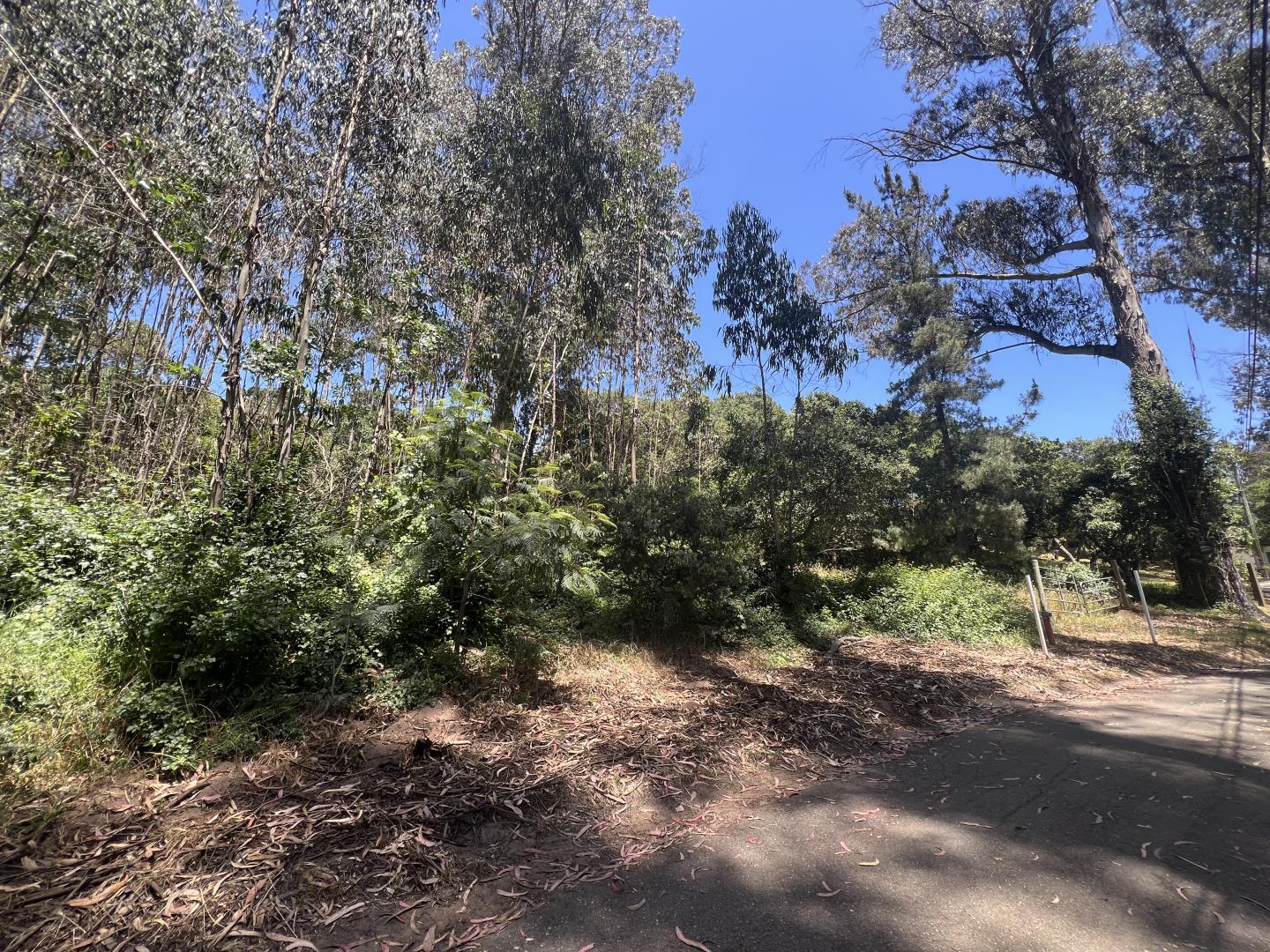 17160 Wilson Way Watsonville, CA 95076 - Photo 3 of 62 a view of a yard with a tree