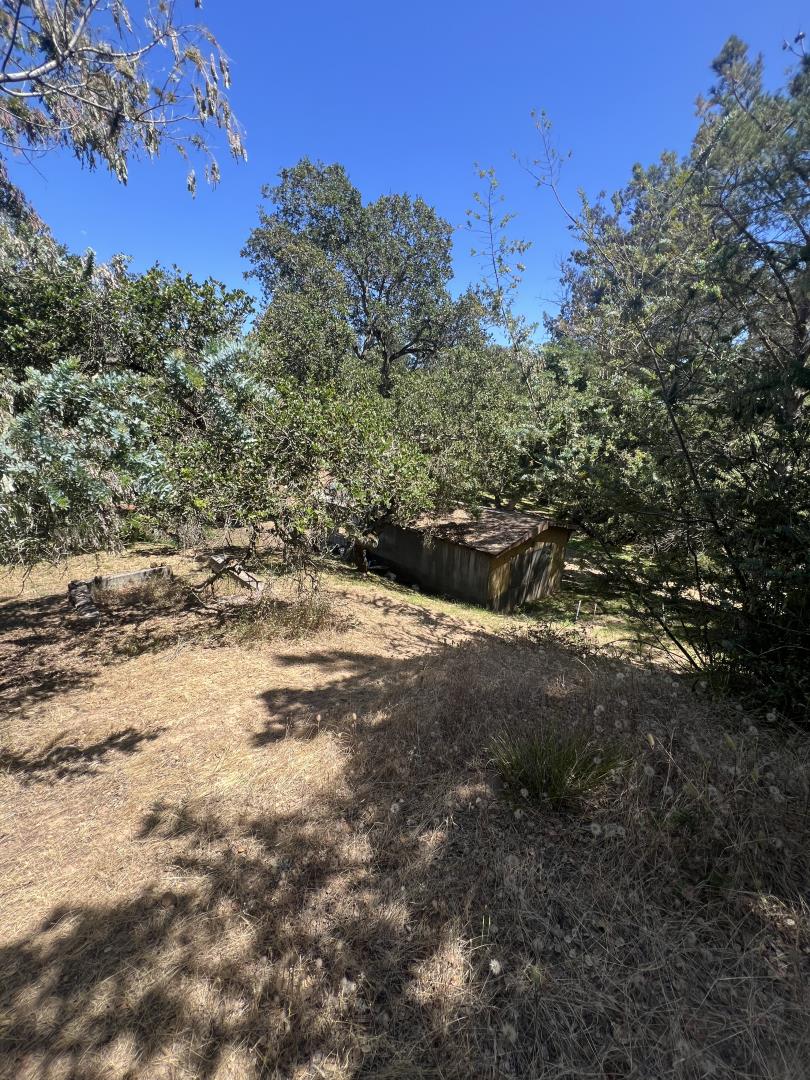 17160 Wilson Way Watsonville, CA 95076 - Photo 32 of 62 a view of a yard with a tree