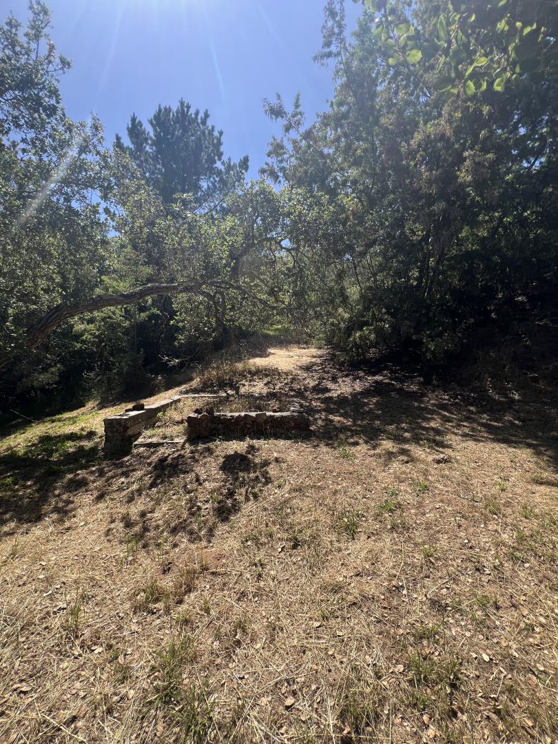 17160 Wilson Way Watsonville, CA 95076 - Photo 33 of 62 a view of a dry yard with trees and stairs