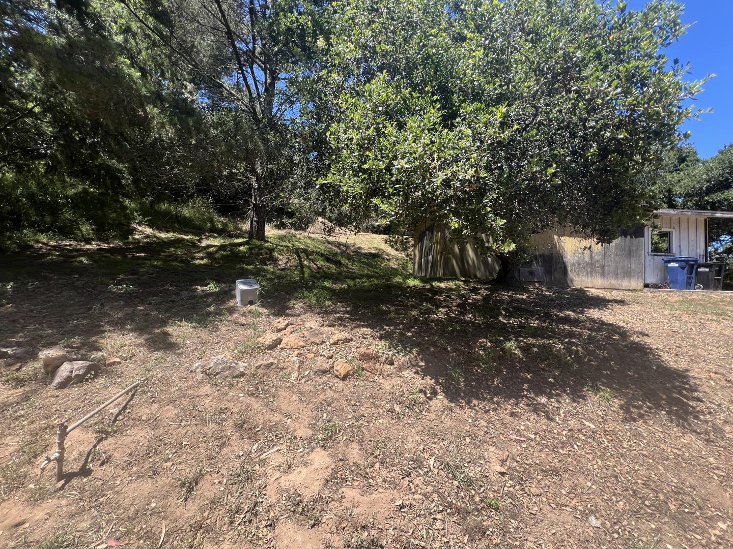 17160 Wilson Way Watsonville, CA 95076 - Photo 44 of 62 a view of a park with large trees