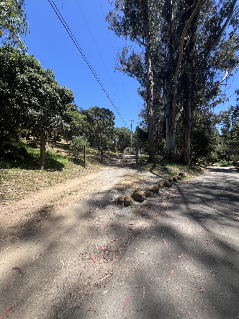 17160 Wilson Way Watsonville, CA 95076 - Photo 6 of 62 a view of road with trees