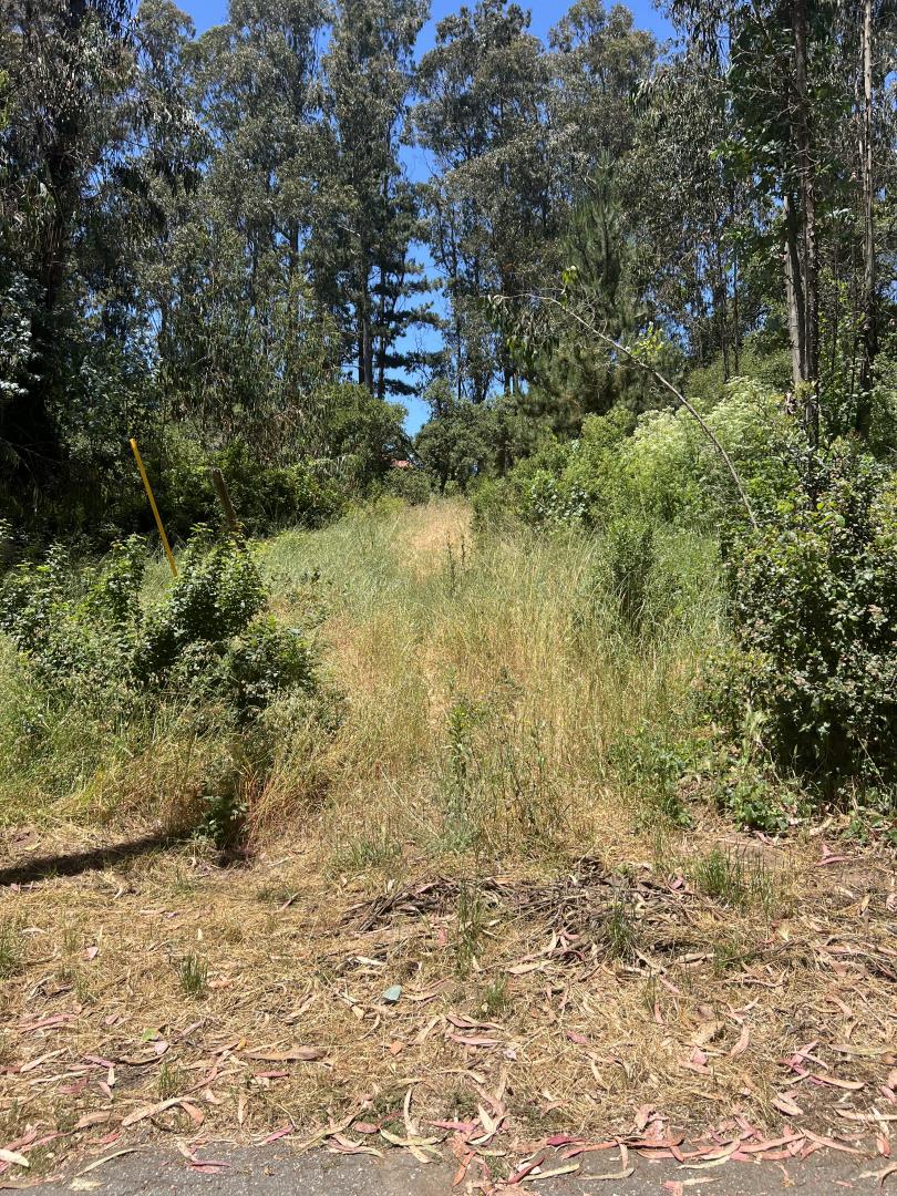 17160 Wilson Way Watsonville, CA 95076 - Photo 62 of 62 a view of outdoor space and trees