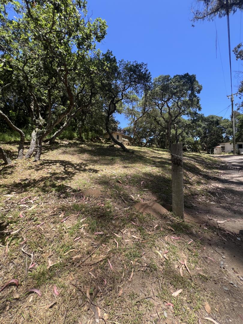 17160 Wilson Way Watsonville, CA 95076 - Photo 7 of 62 a view of a yard with wooden fence