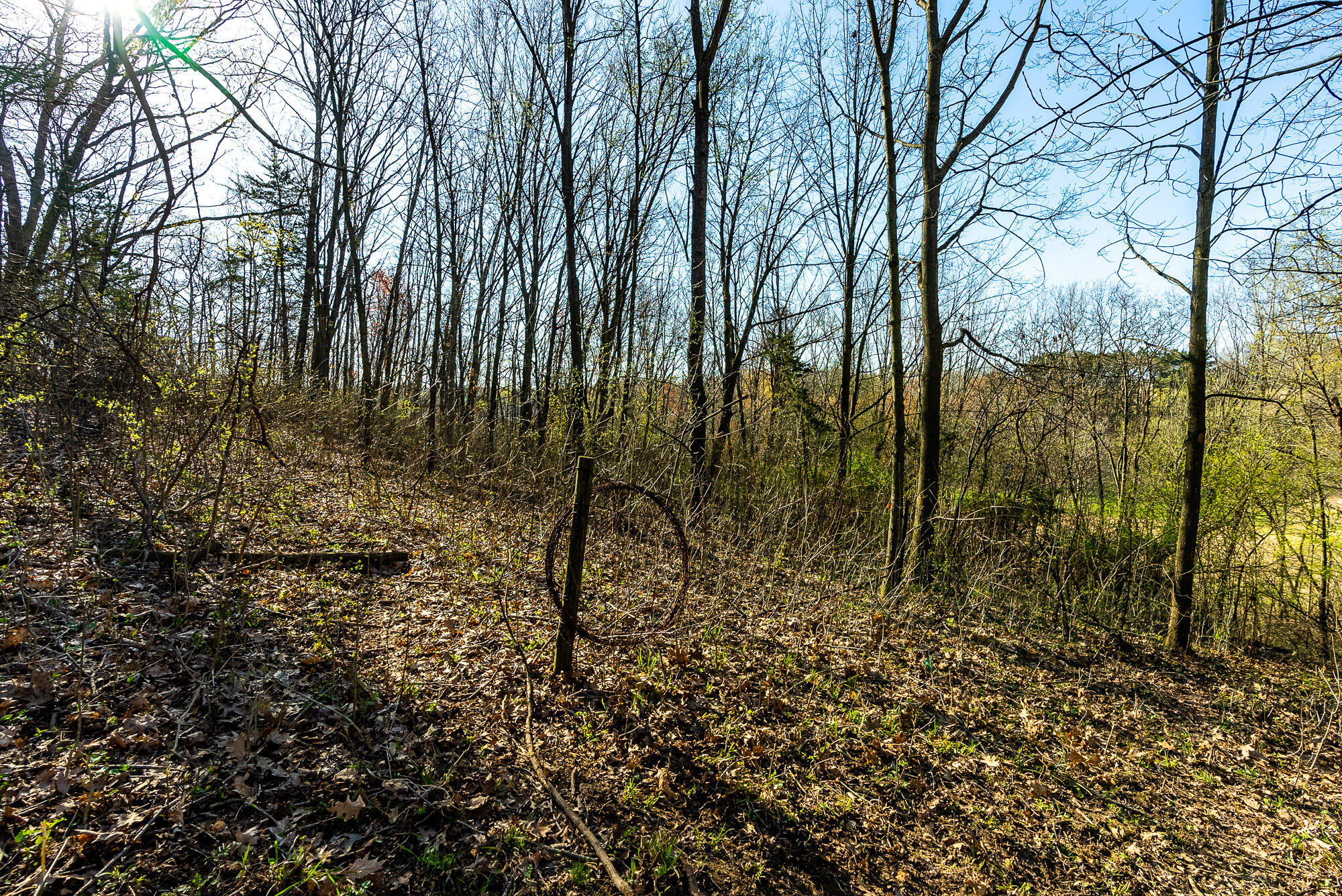 Lt2 Eli Valley Road Hillpoint, WI 53937 - Photo 43 of 47 Sauk-County-WI-53-Acres-Land-For-Sale-43