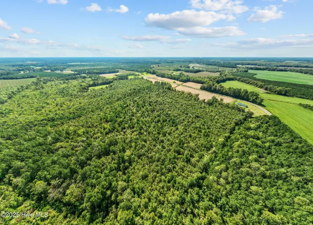 $99,000 | Lot 5 Gus's Lane, Williamston, NC 27892