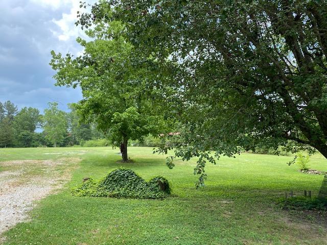 8223 Graham Road Chattanooga, TN 37421 - Photo 29 of 29 IMG_0116
