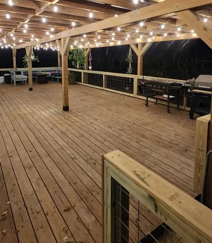 a view of a garden with plants