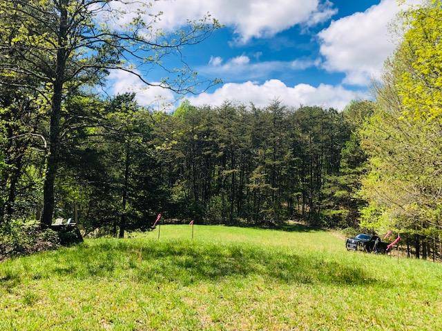 0 Walnut Grove Church Road Montvale, VA 24122 - Photo 1 of 9 Lot 5 cleared area