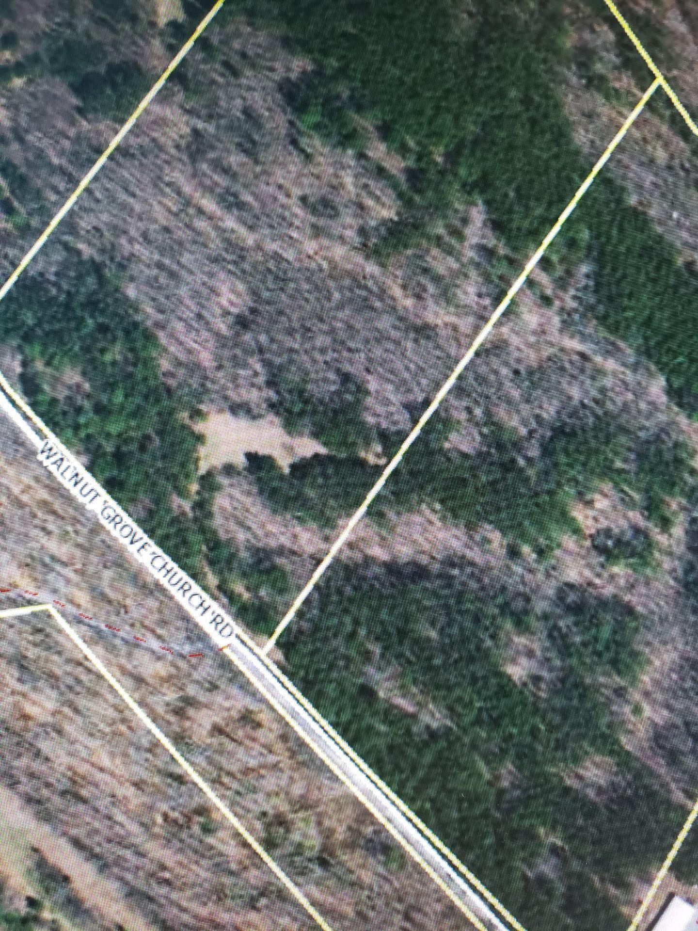 0 Walnut Grove Church Road Montvale, VA 24122 - Photo 8 of 9 Lot on left