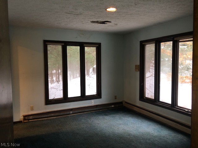 5155 Emerson Road Madison, OH 44057 - Photo 16 of 33