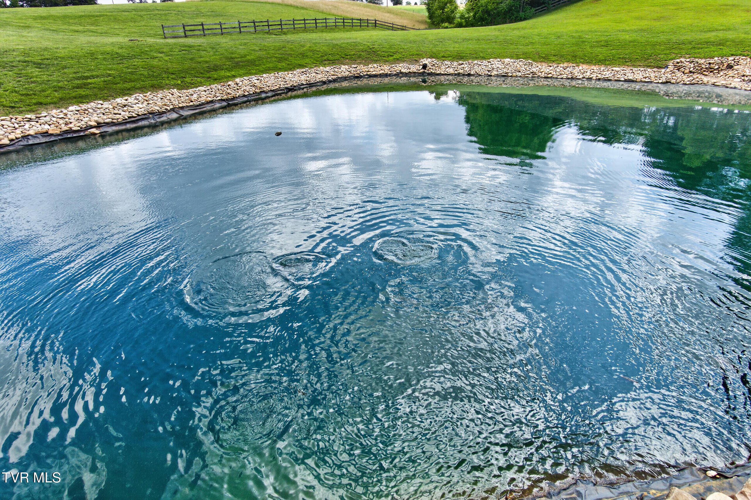 835 John Bird Road Afton, TN 37616 - Photo 33 of 158 DSC06757