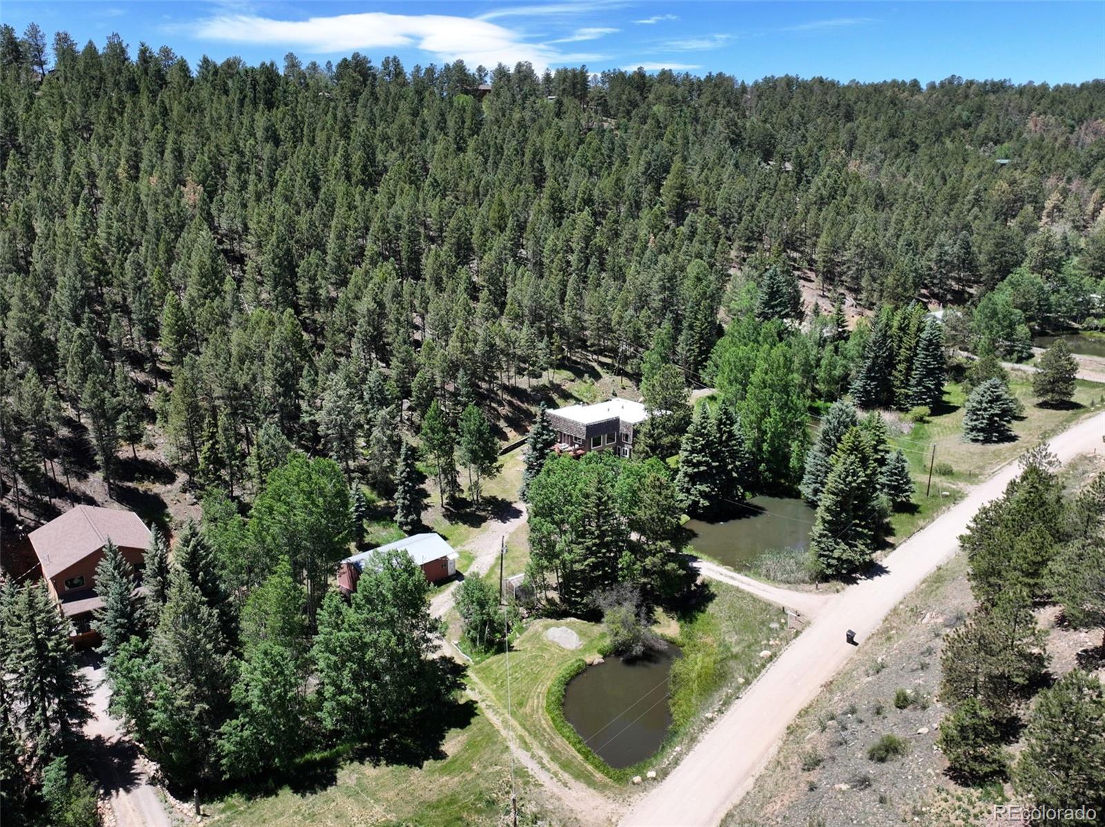 384 Brookside Drive Bailey, CO 80421 - Photo 47 of 50