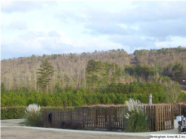 223 Greystone Drive Oneonta, AL 35121 - Photo 24 of 28