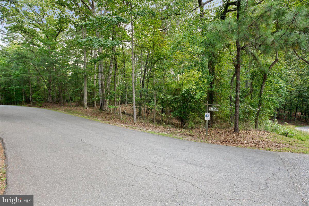 11870 Blue Point Court Lusby, MD 20657 - Photo 2 of 7 a view of a field with trees in the background