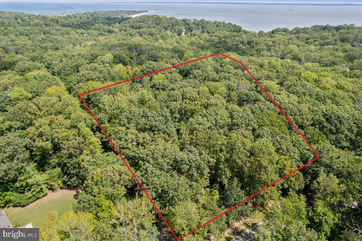 11870 Blue Point Court Lusby, MD 20657 - Photo 6 of 7 a view of a lush green forest with a lush green forest