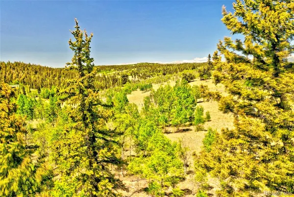 a view of a big yard