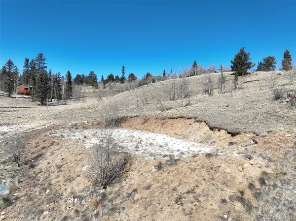 a view of a dry yard with a tree