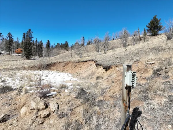 a view of a dry yard with a tree