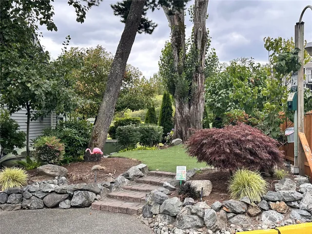 a view of a garden with a tree