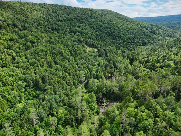 $19,999 | 0 Hunter Brook Road, South Newfane, VT 05351