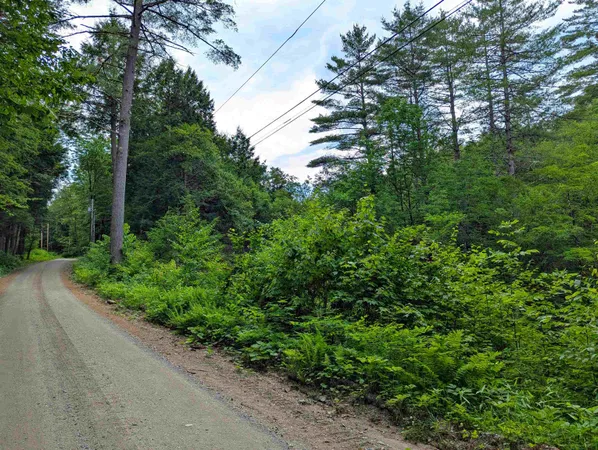 $19,999 | 0 Hunter Brook Road, South Newfane, VT 05351