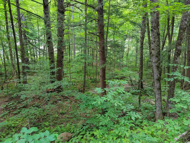 $19,999 | 32 Hunter Brook Road, Newfane, VT 05351