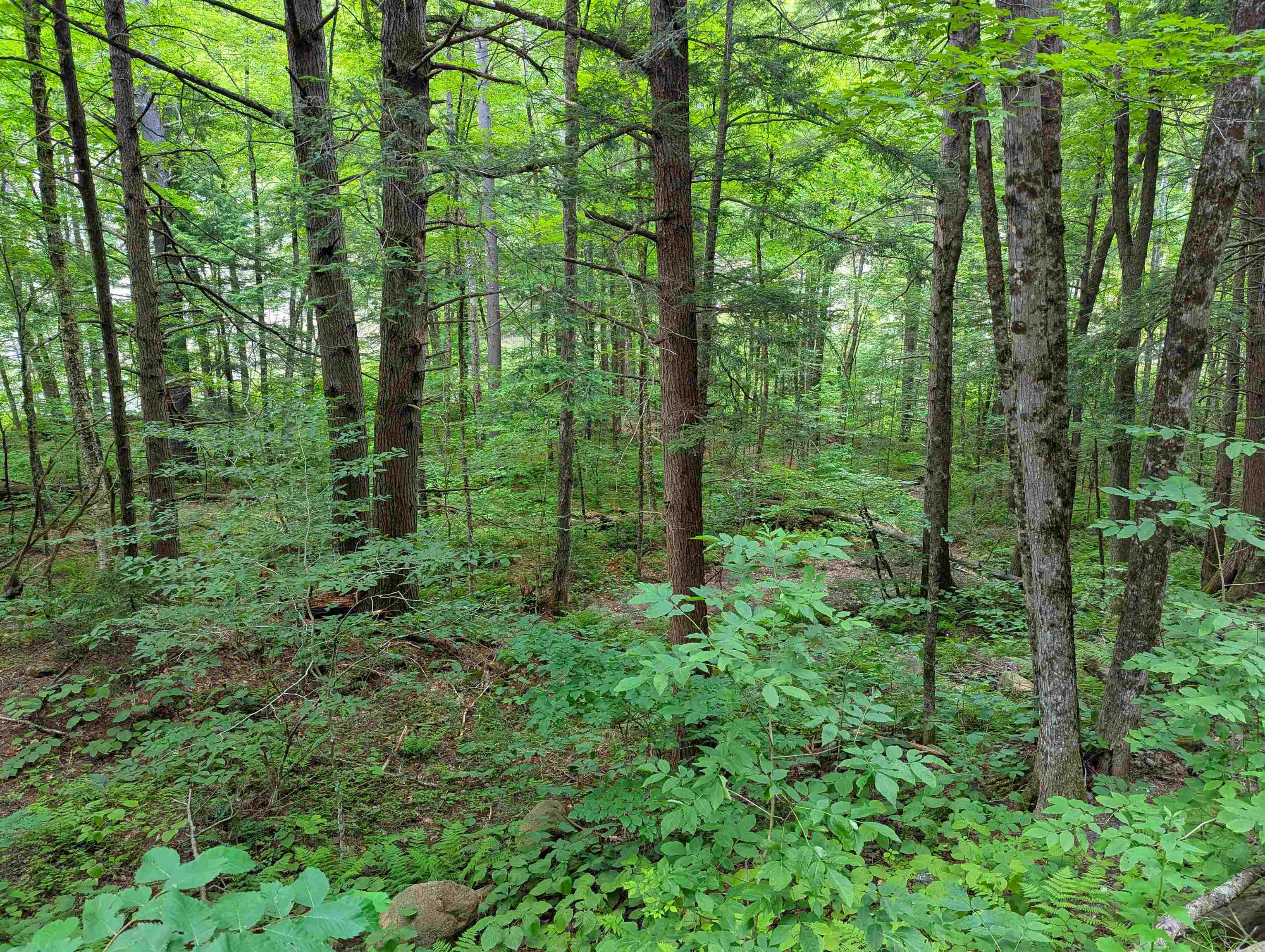 0 Hunter Brook Road South Newfane, VT 05351 - Photo 12 of 16