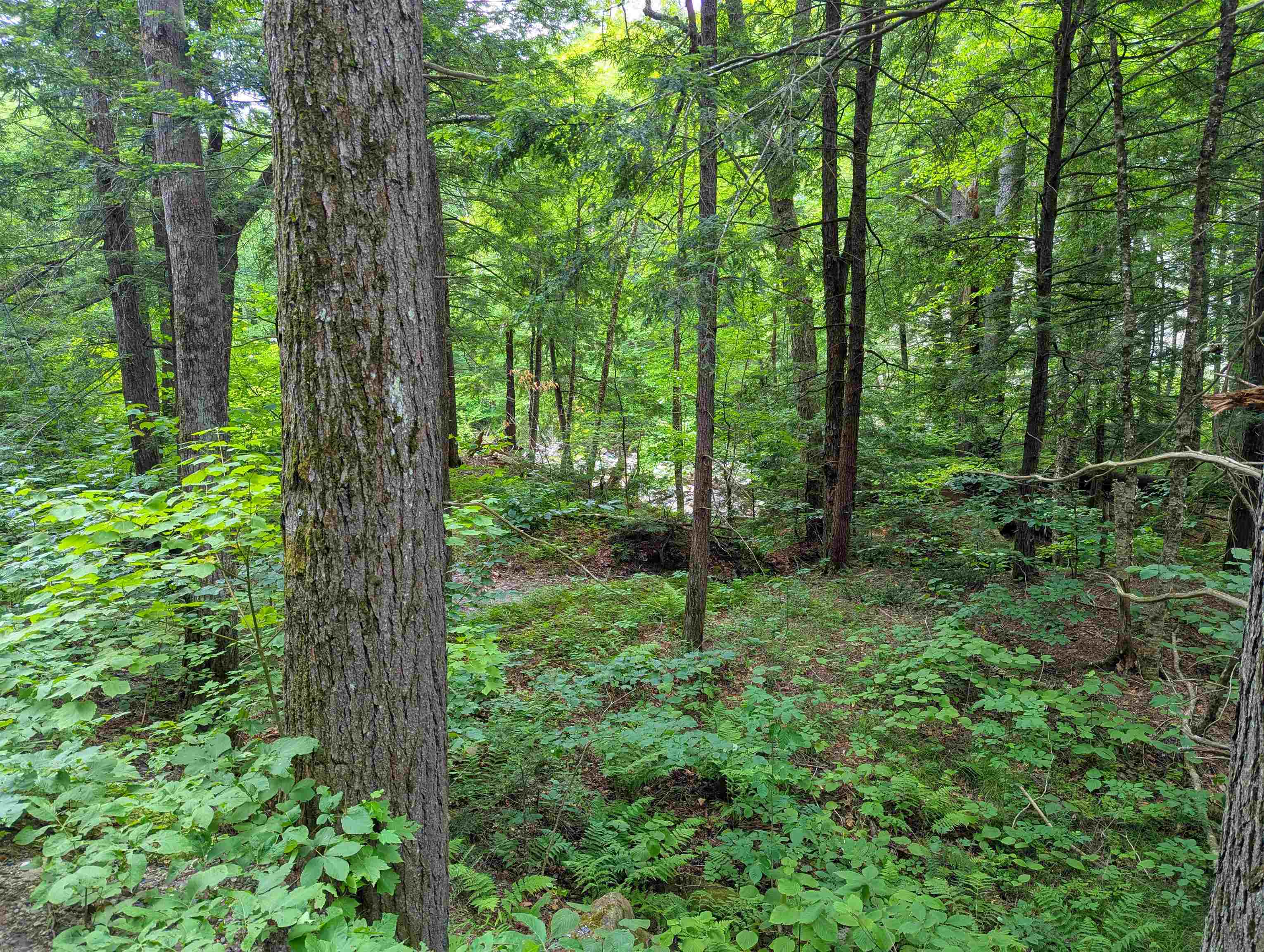 0 Hunter Brook Road South Newfane, VT 05351 - Photo 13 of 16
