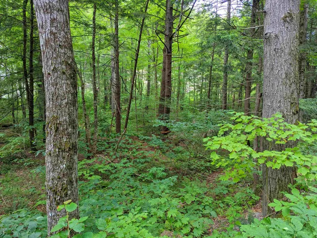 $19,999 | 32 Hunter Brook Road, Newfane, VT 05351