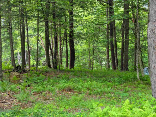 $19,999 | 0 Hunter Brook Road, South Newfane, VT 05351