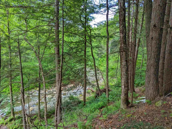 $19,999 | 0 Hunter Brook Road, South Newfane, VT 05351