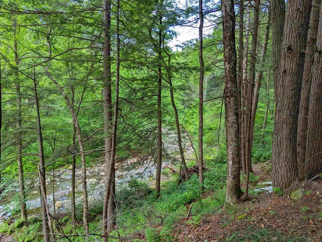 $19,999 | 32 Hunter Brook Road, Newfane, VT 05351