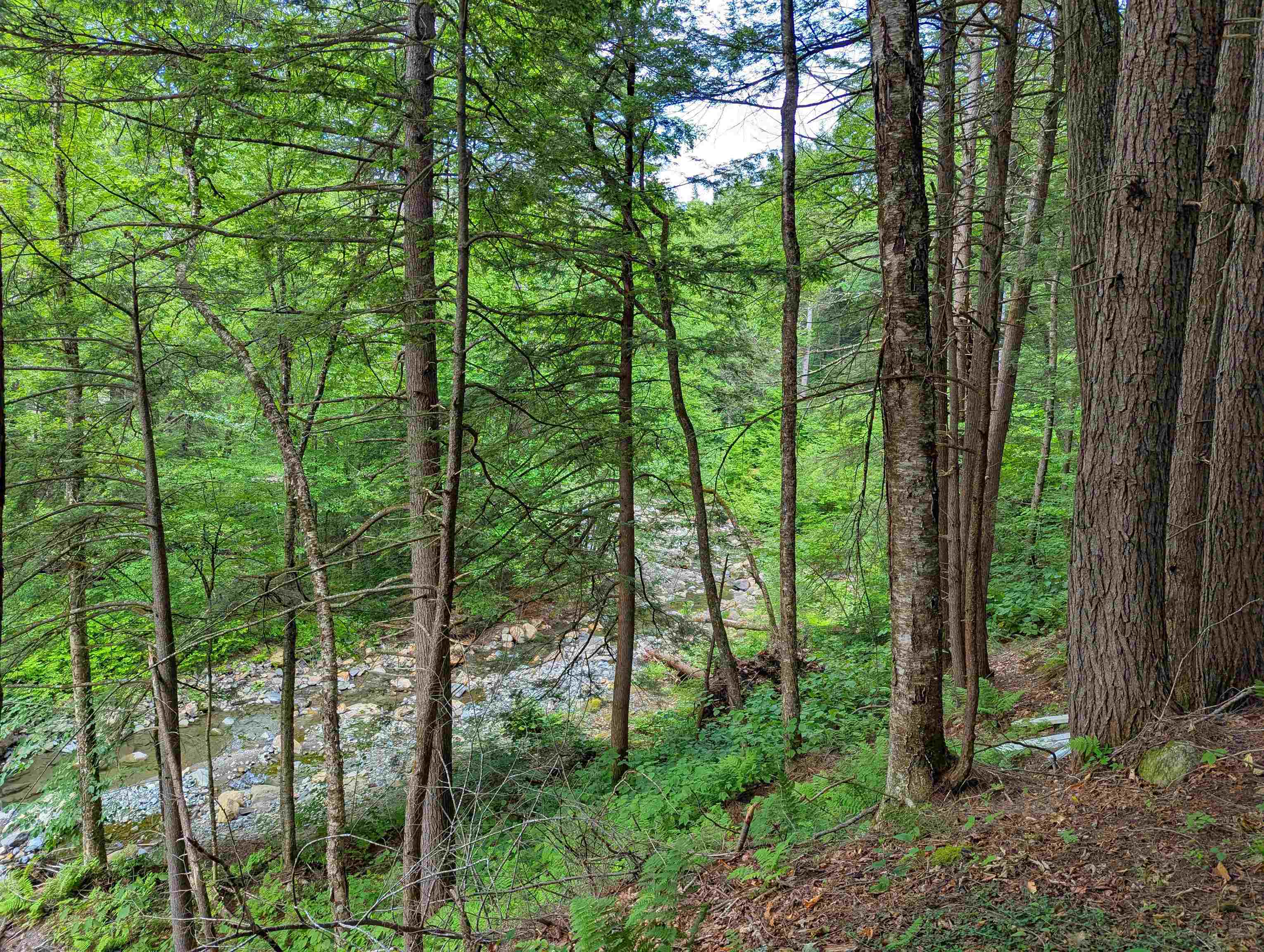 0 Hunter Brook Road South Newfane, VT 05351 - Photo 16 of 16
