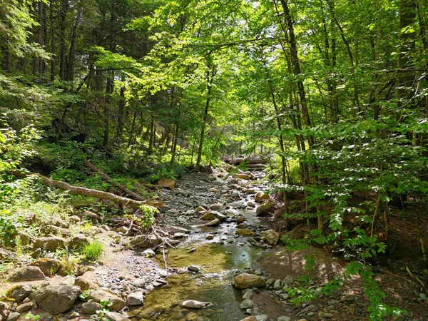 $19,999 | 0 Hunter Brook Road, South Newfane, VT 05351