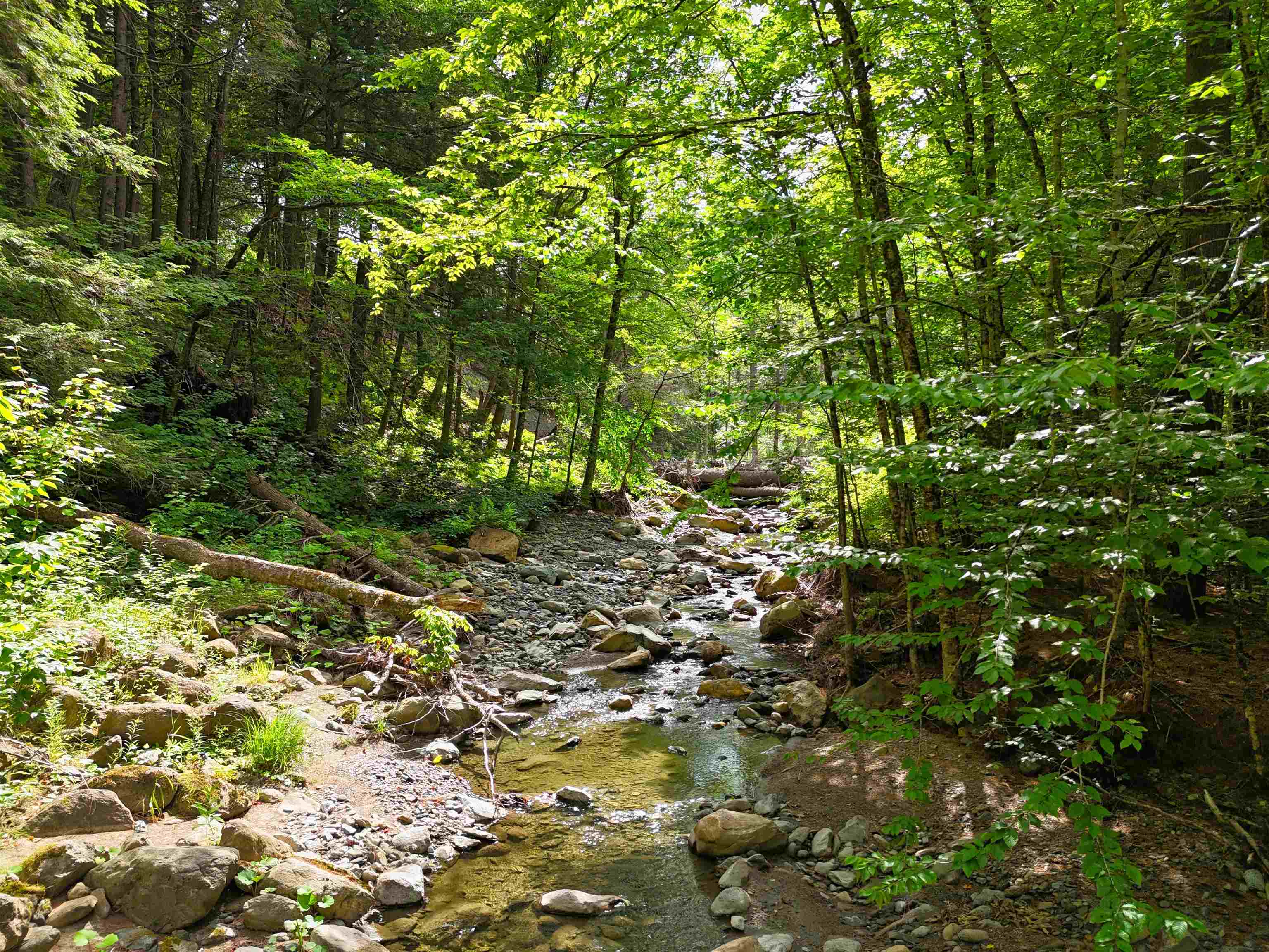 0 Hunter Brook Road South Newfane, VT 05351 - Photo 6 of 16
