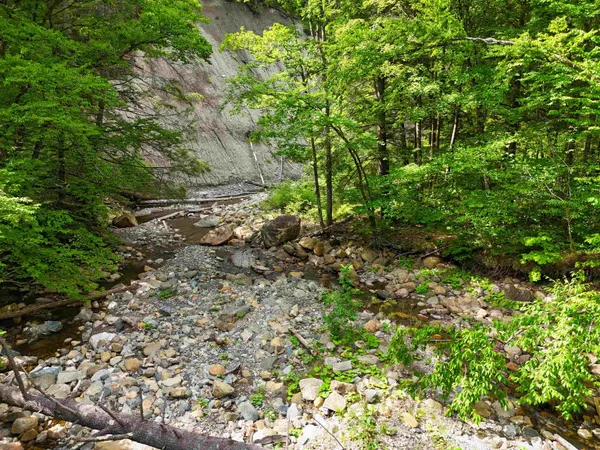 $19,999 | 0 Hunter Brook Road, South Newfane, VT 05351